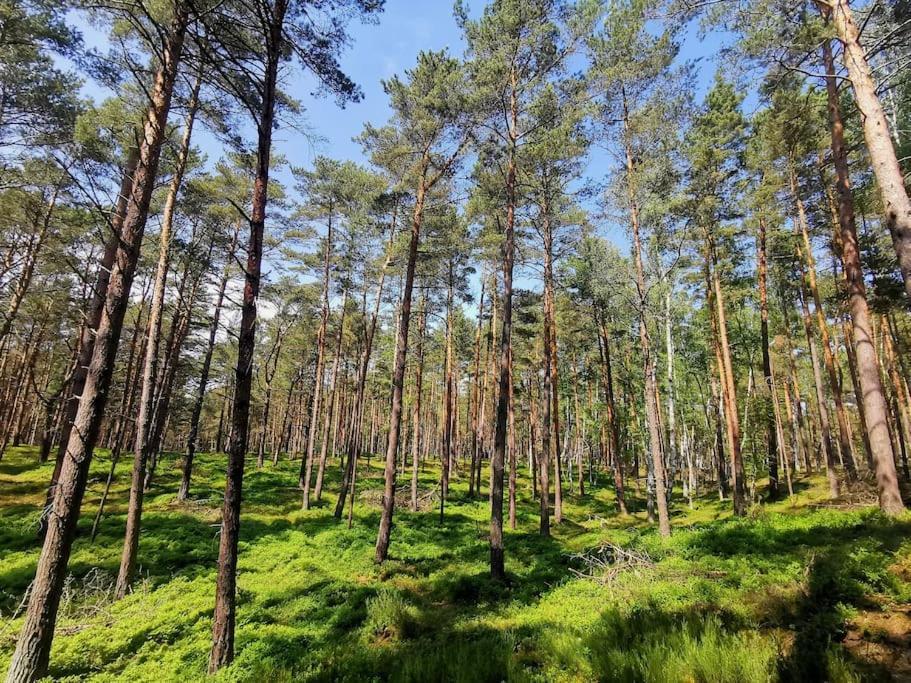 Campolohel- Przyczepa Kempingowa Exterior photo